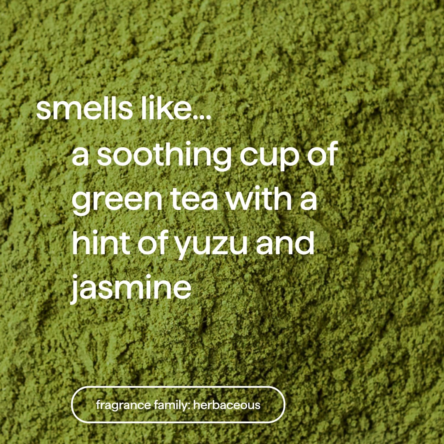 Textura de gel Mindful Matcha lista para hidratar la piel.