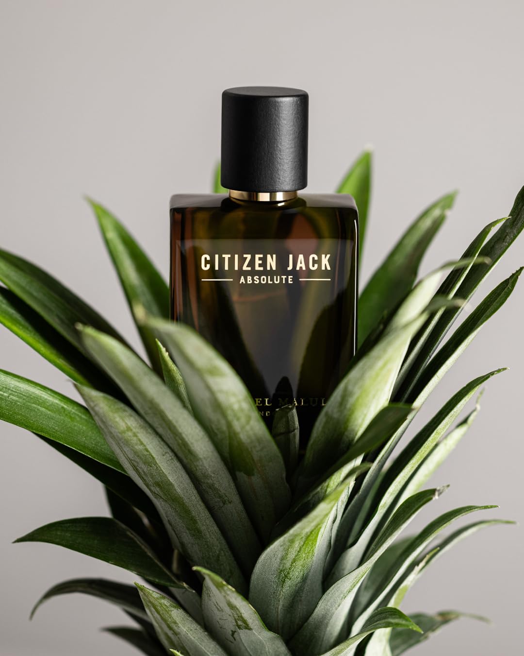 Citizen Jack Absolute bottle wood finish close-up, versatile scent profile for daily use