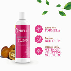 Creamy foam from Mongongo Oil Exfoliating Shampoo ready for cleansing without drying hair.