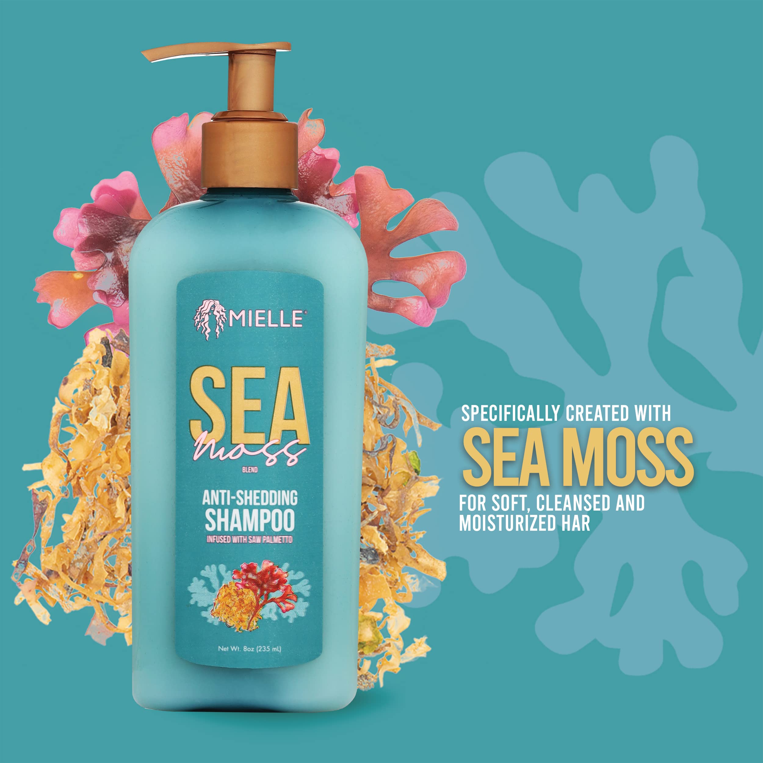 Ingrediente musgo marino irlandés en champú Mielle Organics para nutrición capilar.