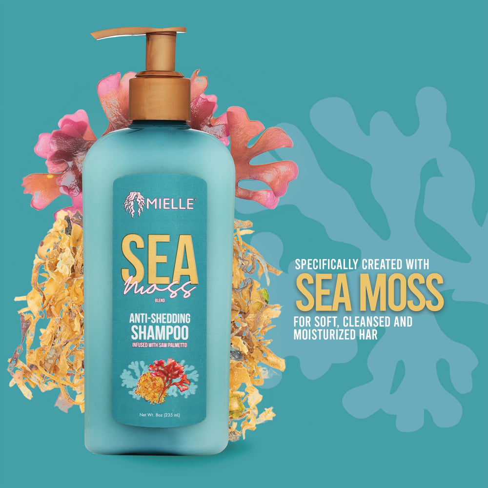 Ingrediente musgo marino irlandés en champú Mielle Organics para nutrición capilar.