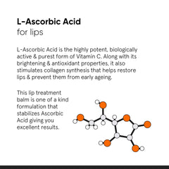 Ingredientes clave del bálsamo Minimalist para nutrir y proteger labios.
