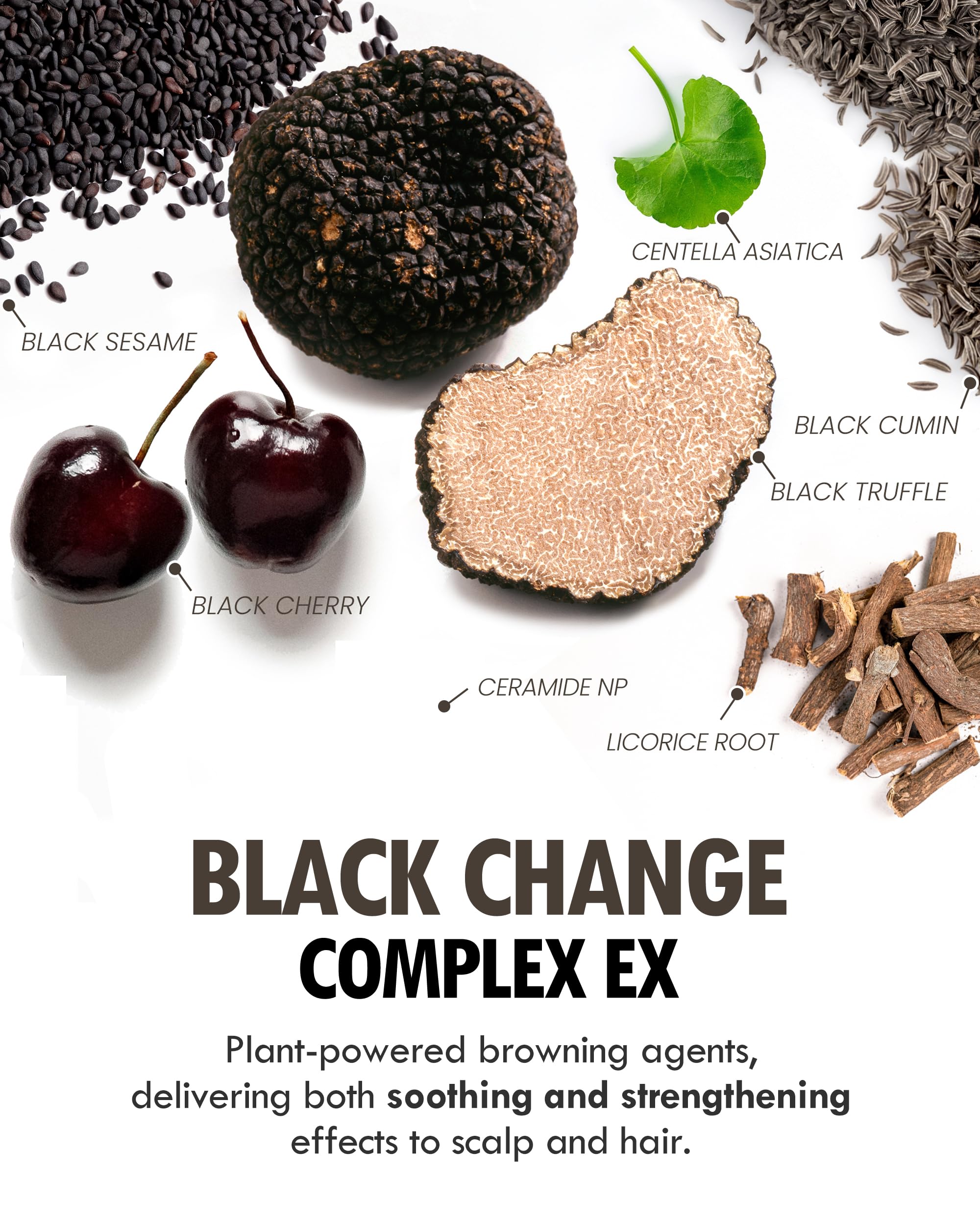 MODA MODA Zero Gray Black Shampoo on counter with sulfate-free formula