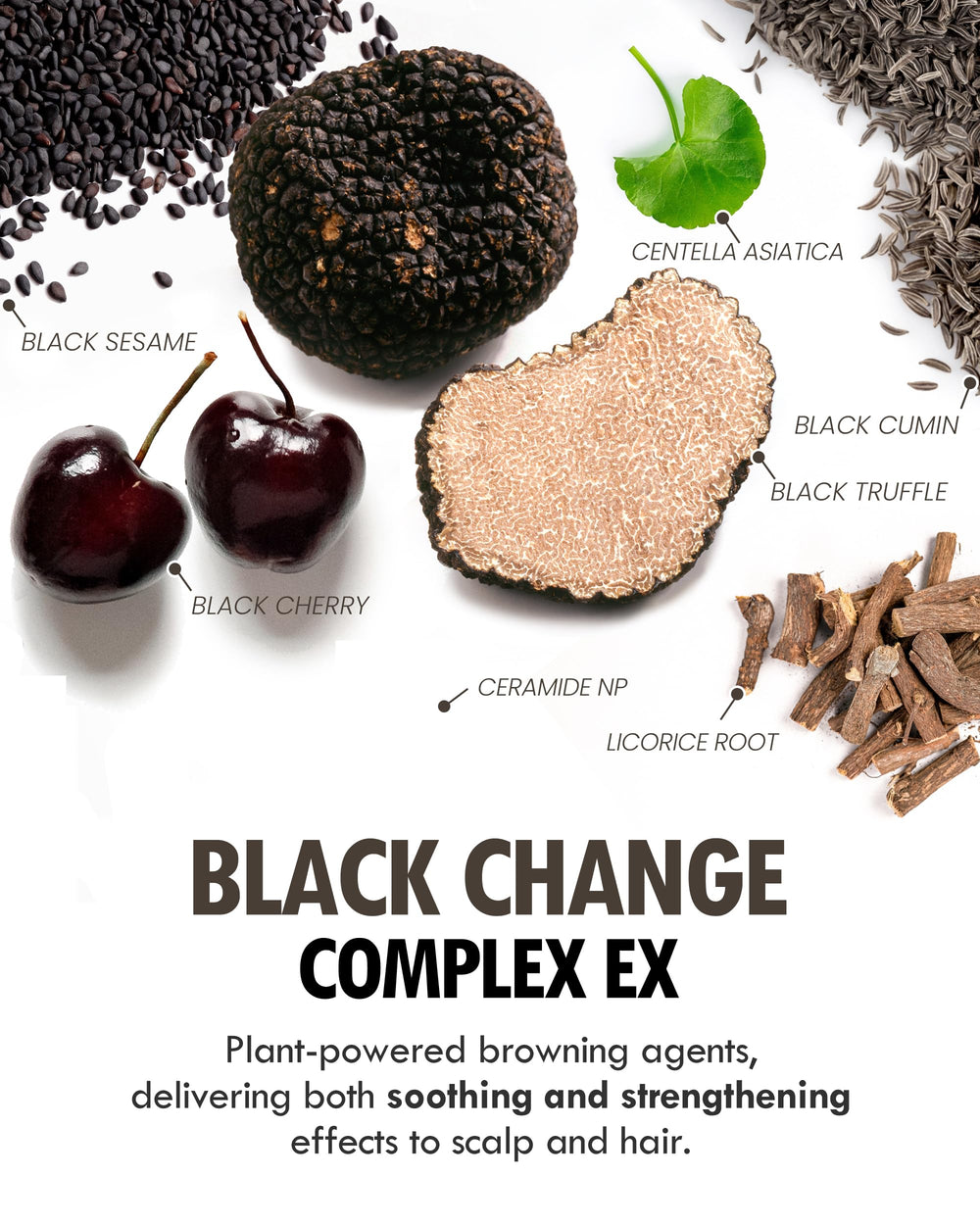 MODA MODA Zero Gray Black Shampoo on counter with sulfate-free formula