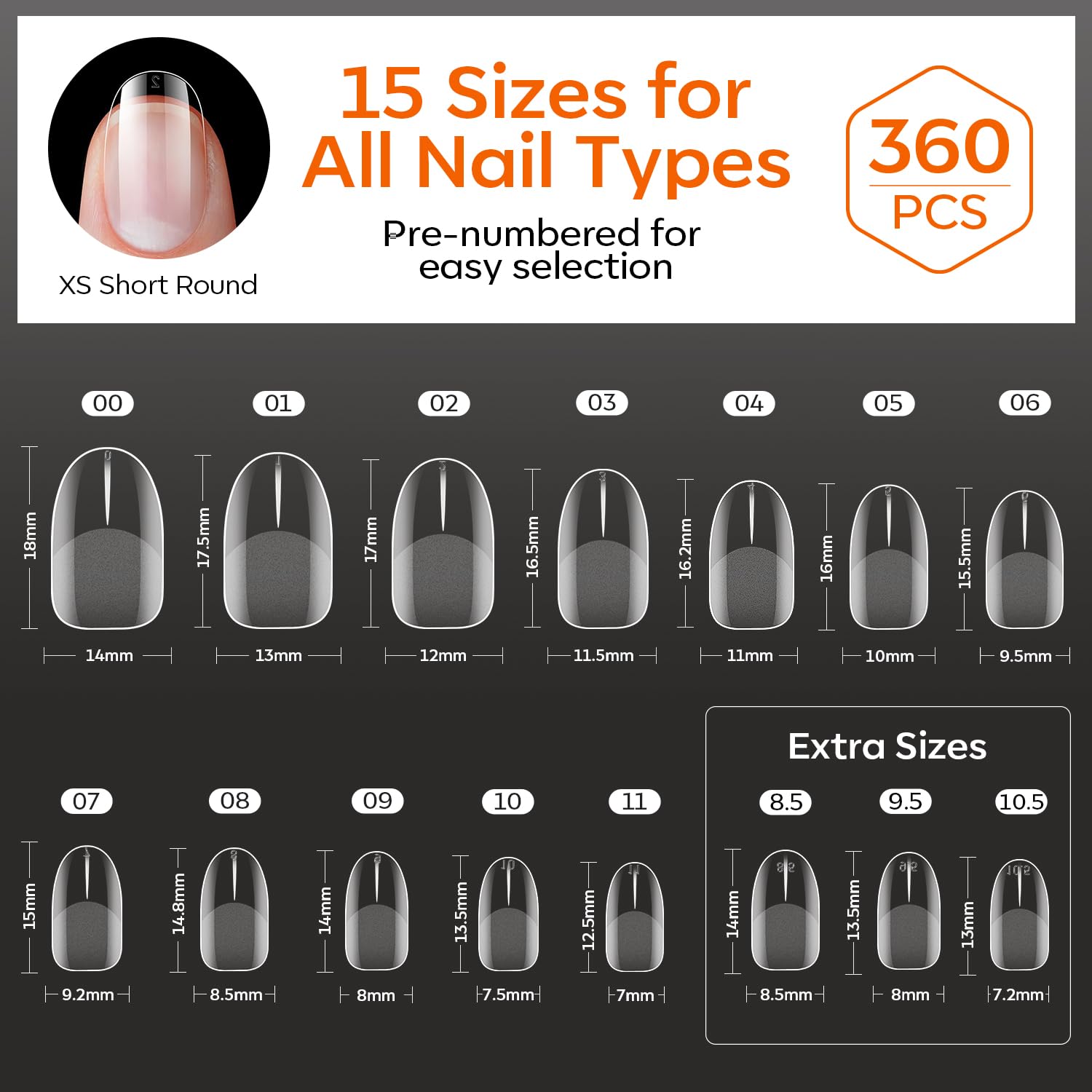 Modelones diverse sizes 360-piece set close-up for precise fit