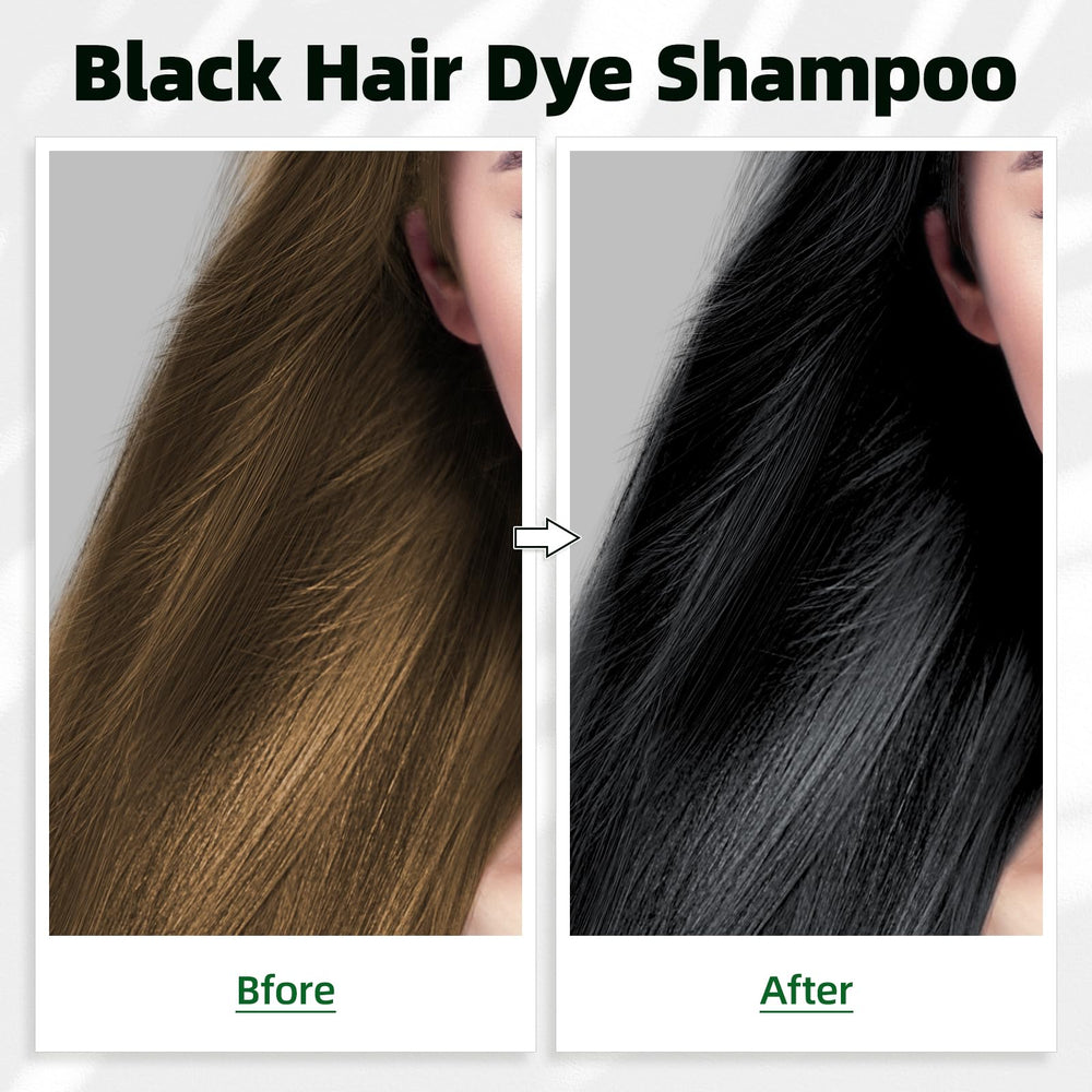 MOISTAR Champú 3 en 1: color negro para cabello gris.