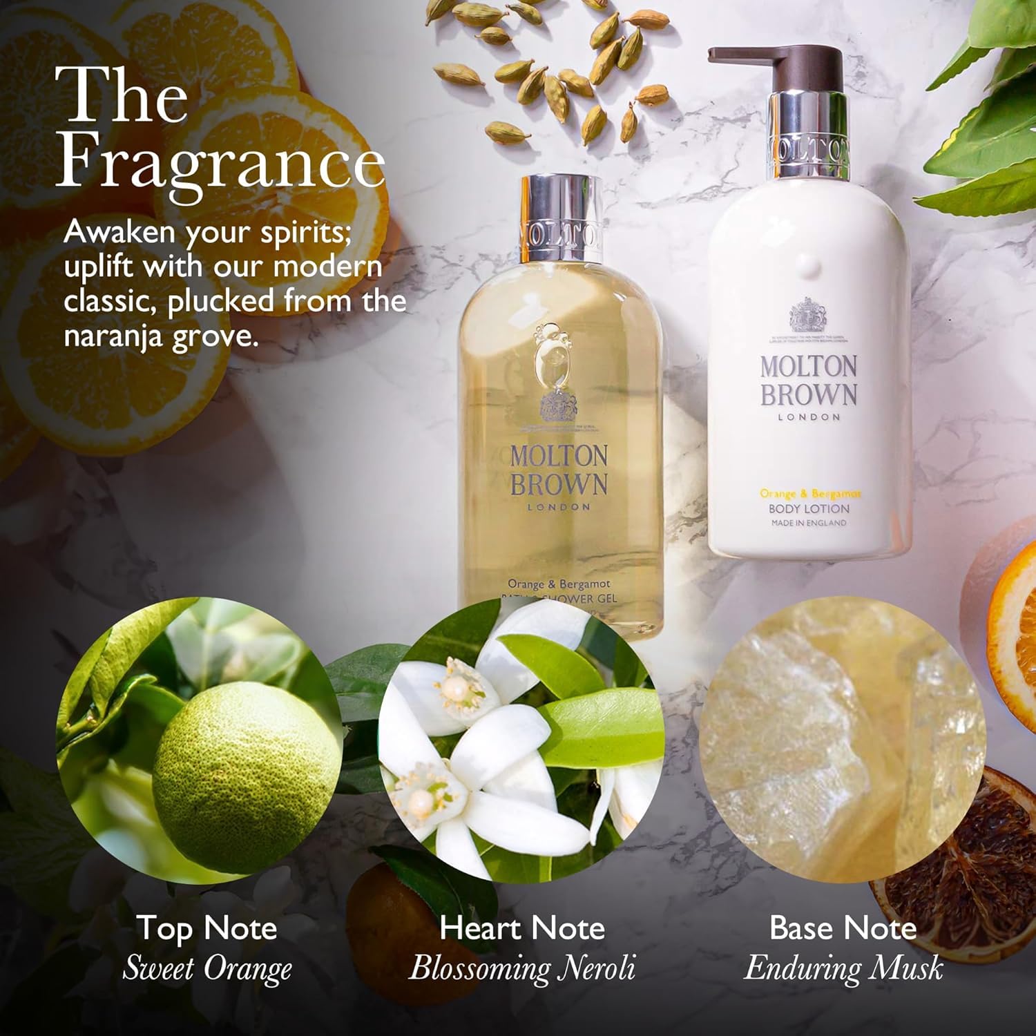 Molton Brown fragrance notes image features orange, neroli, bergamot for uplifting mood.