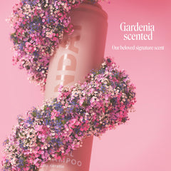 MONDAY Haircare Brunette Dry Shampoo aplicación rápida y fácil entre lavados