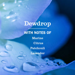 Close-up of Dewdrop hand lather from Mrs. Meyer’s Clean Day soap.