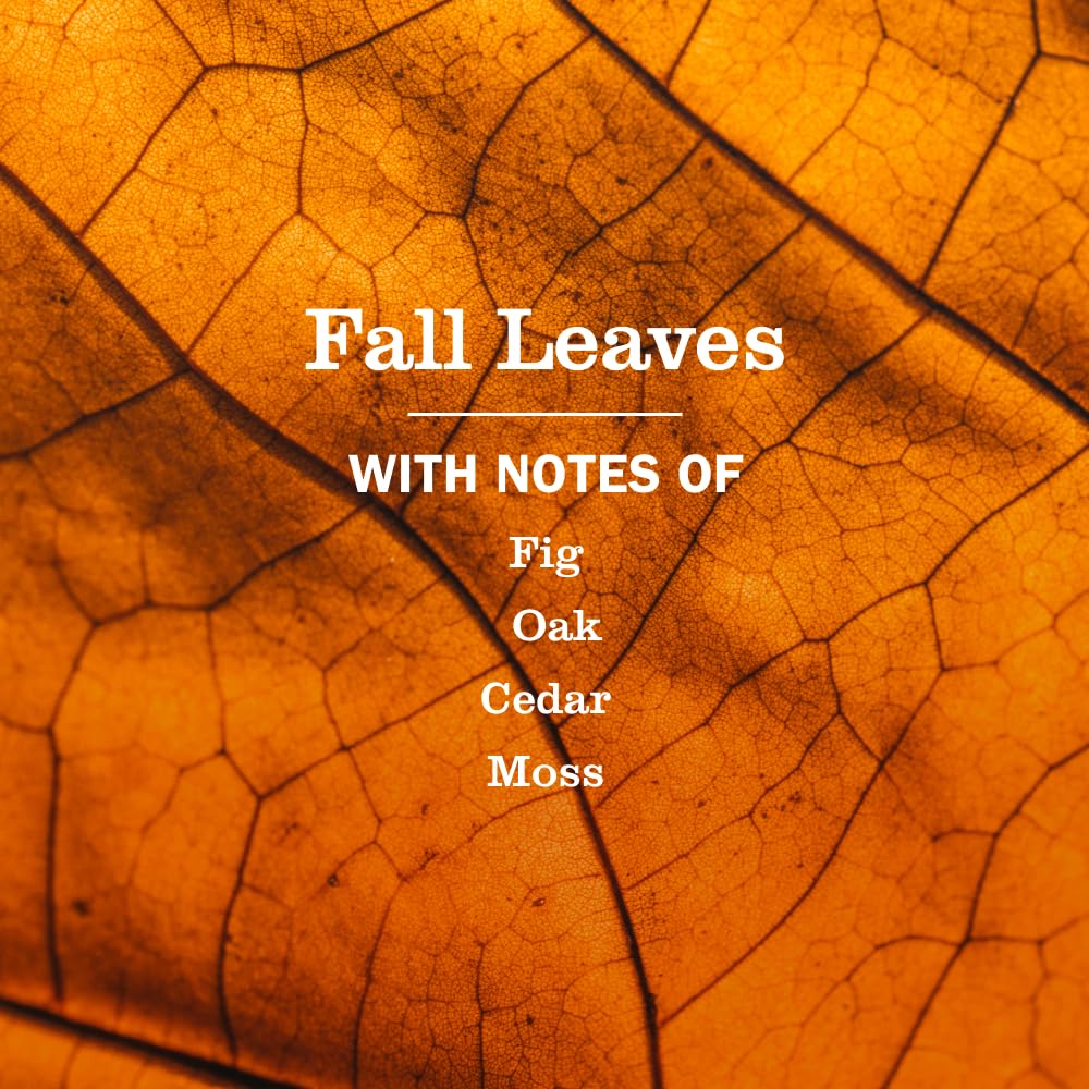 Mrs. Meyer's Clean Day hands lather with Fall Leaves scent.