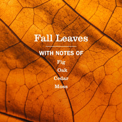 Mrs. Meyer's Clean Day hands lather with Fall Leaves scent.