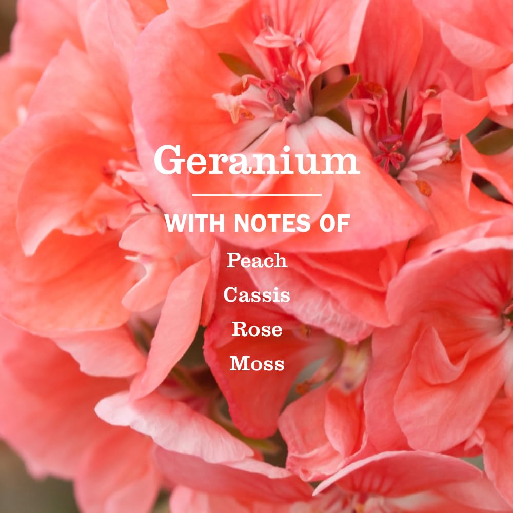 Mrs. Meyer's Clean Day geranium flowers closeup showing fresh garden scent