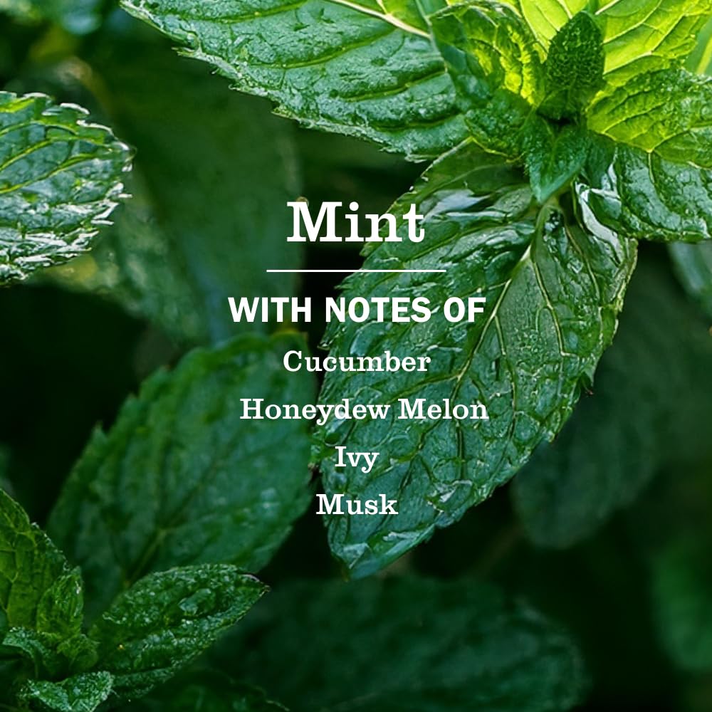 Close-up of mint-scent label on Mrs. Meyer's hand soap.