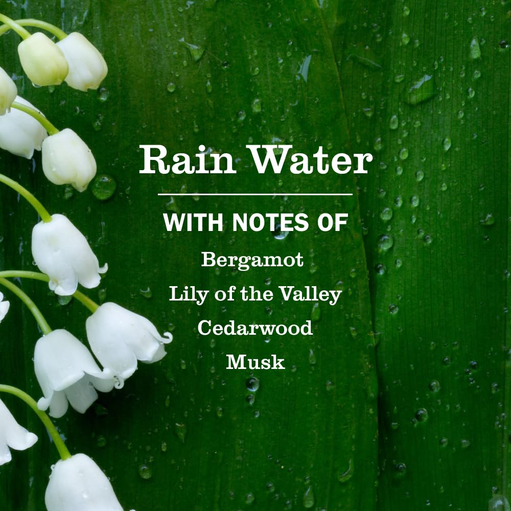 Mrs. Meyer's Clean Day Rain Water scent with lily of the valley on leaves