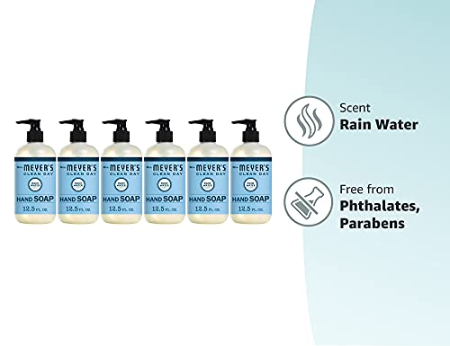 Mrs. Meyer's Rain Water Hand Soap 6-pack packaging for households