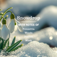 Close-up of Snowdrop label on Mrs. Meyer's hand soap bottle.