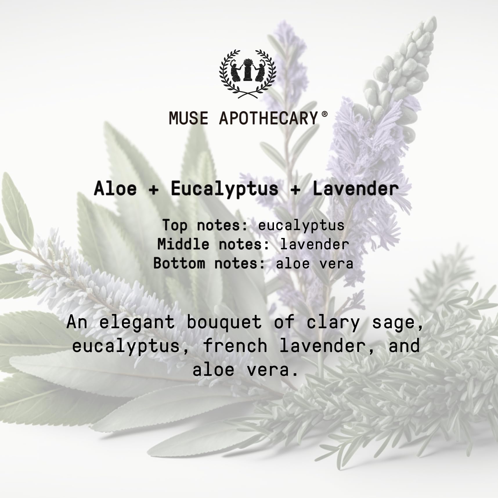 Muse Apothecary Rituales de Manos: regalo elegante para amantes del cuidado.