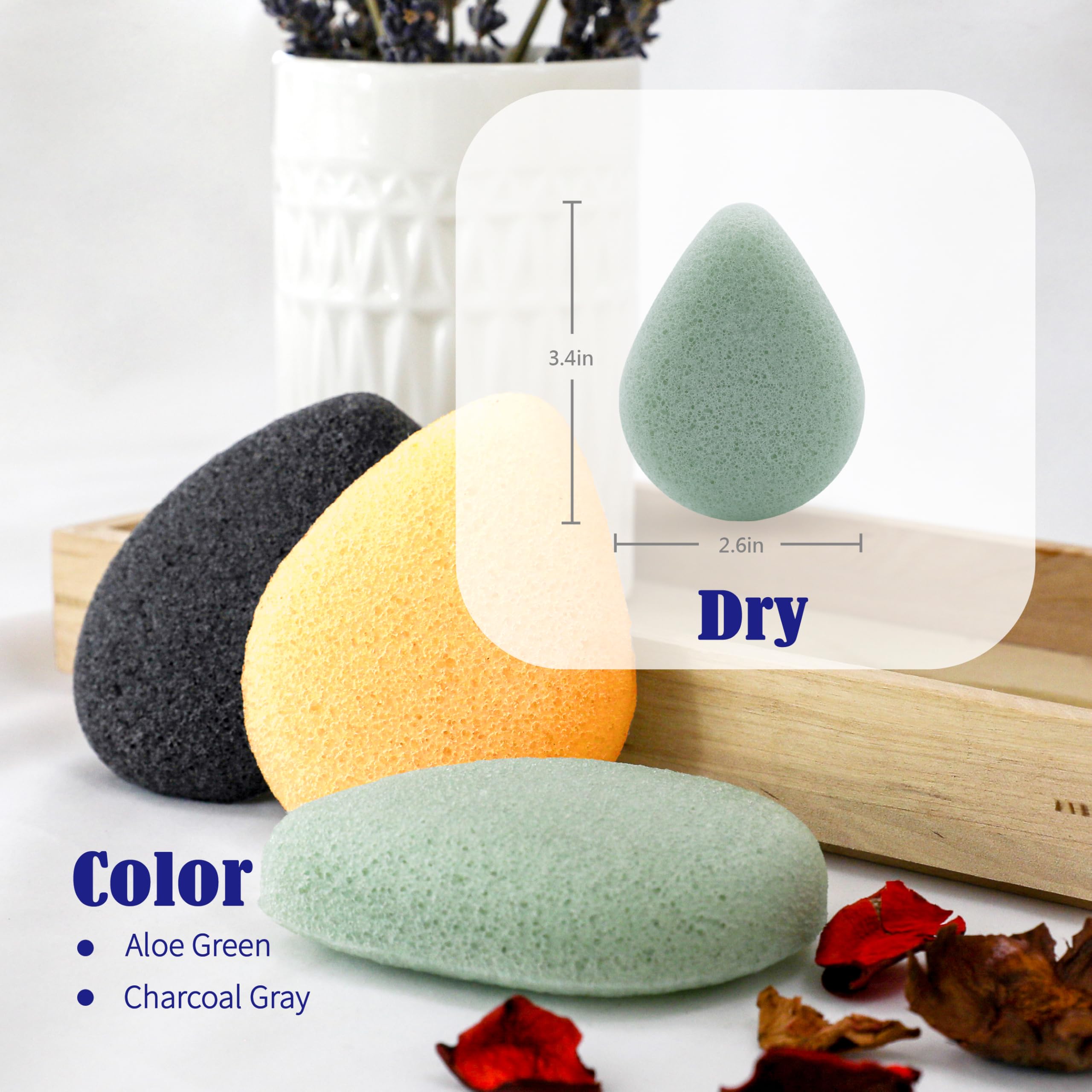 MyHomeBody aloe vera konjac sponge closeup for soothing hydration and comfort.