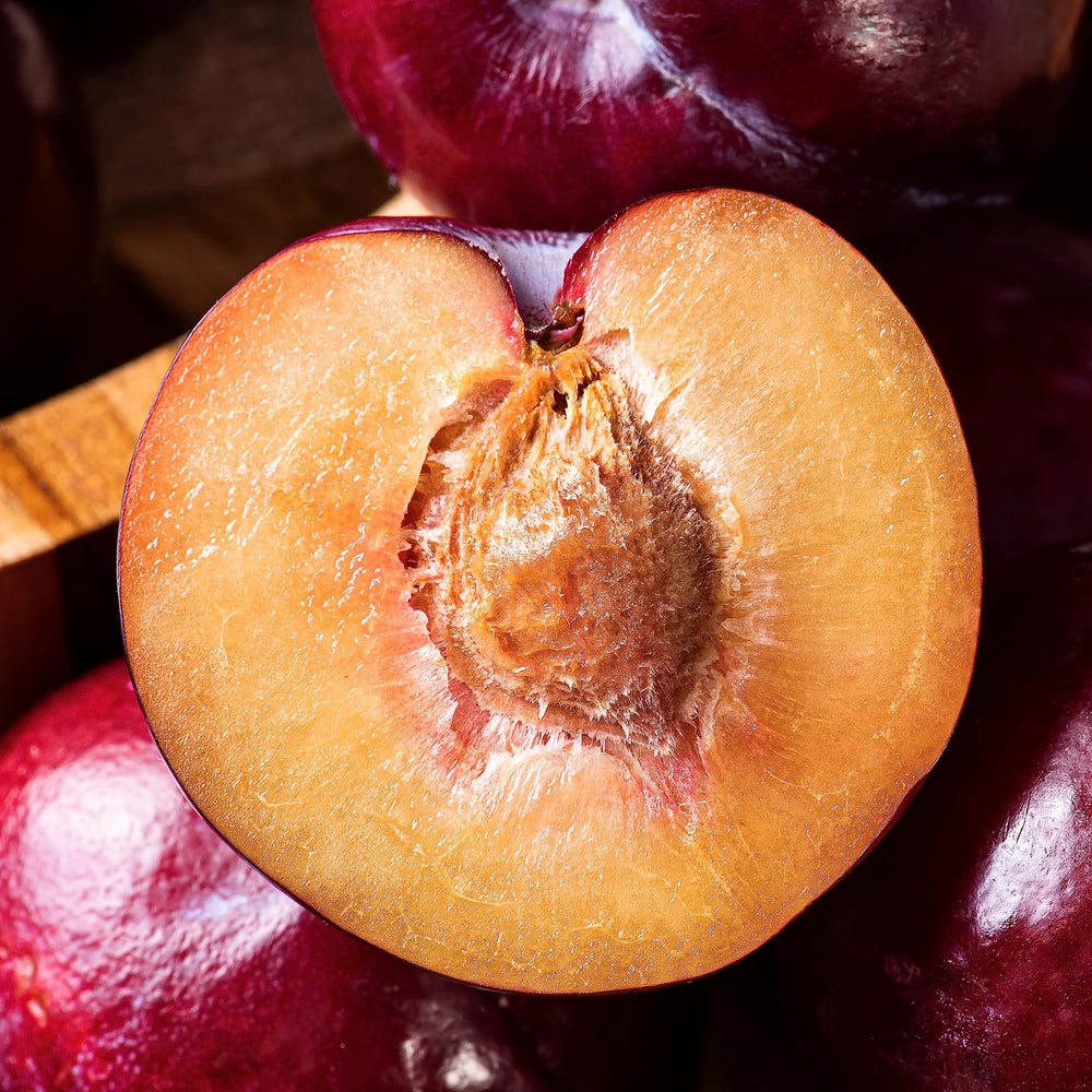 Nativa Spa Plum Body Oil on skin provides a silky, nourished feel
