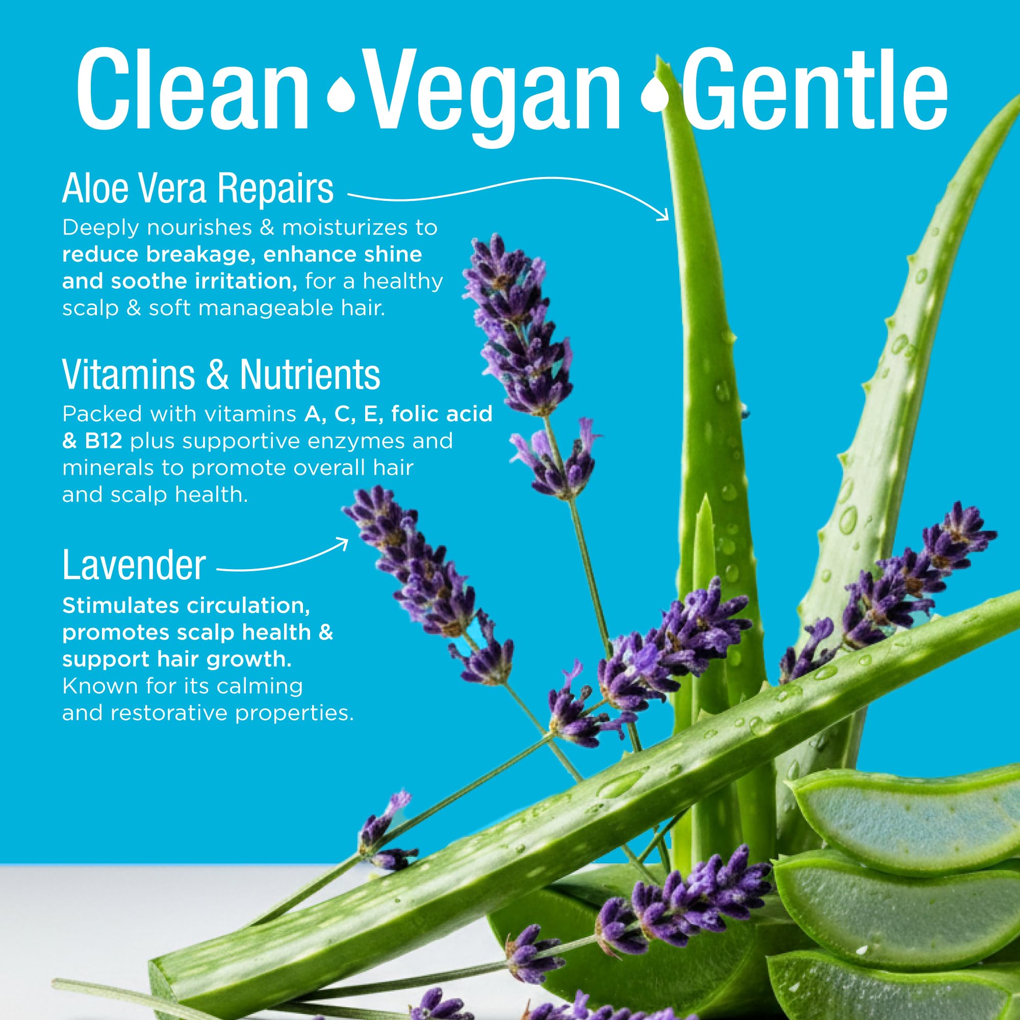 Naturaz con aloe vera hidrata y calma el cuero cabelludo.