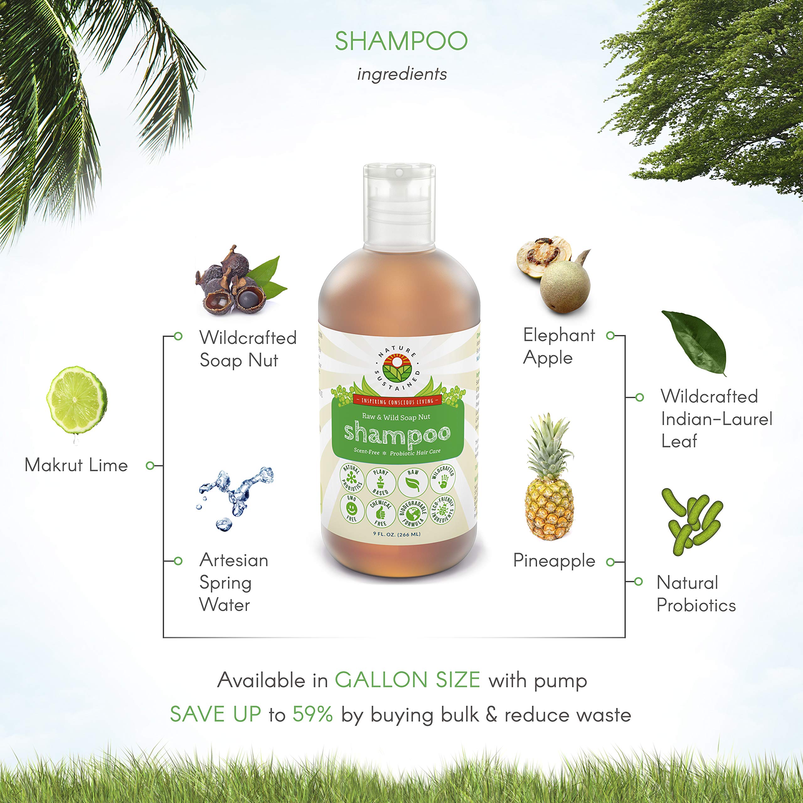 Nature Sustained vegan probiotics from fermented fruits for scalp balance.