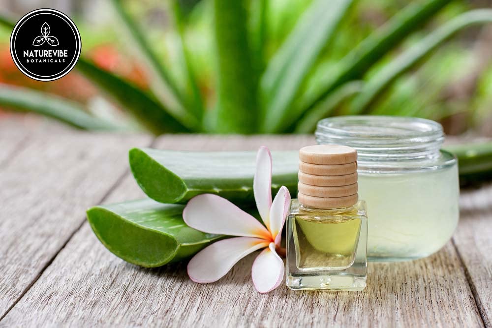 Naturevibe Botanicals Aloe Vera Oil hair-care use demonstrates added shine.