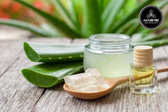 Naturevibe Botanicals Aloe Vera Oil cold-pressed bottle close-up shows pure leaf oil.