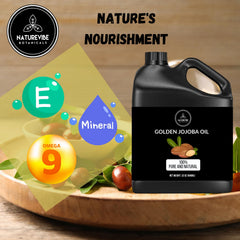 Naturevibe Botanicals Golden Jojoba Oil dropper delivering precise hydration for daily use.