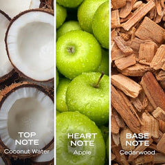 Nautica Coconut Crave packaging on display communicates coastal-inspired luxury