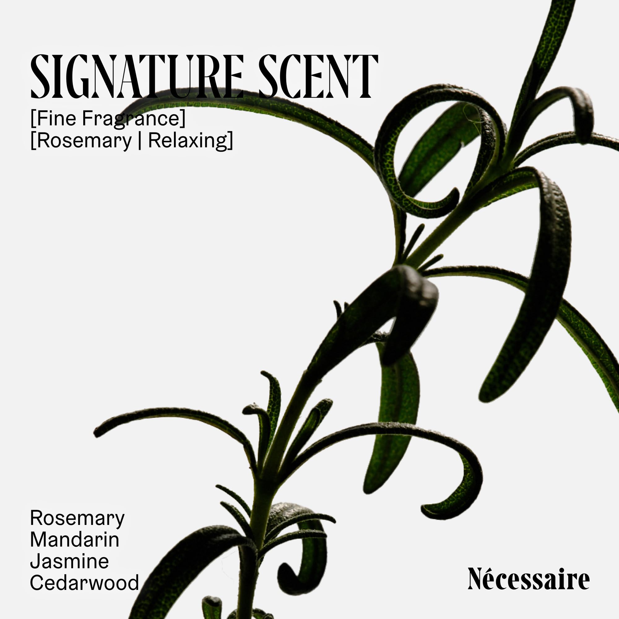 Nécessaire Ceramides and Proteins illustration underlines strengthening and barrier support
