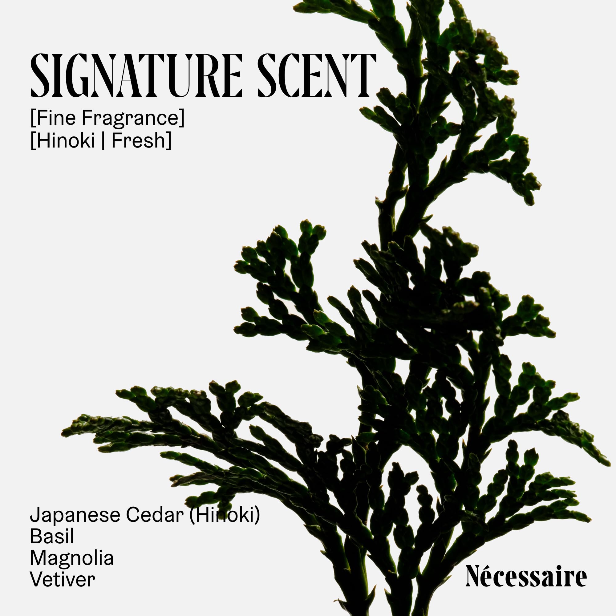 Dermatologist-tested label on Nécessaire Hinoki body lotion packaging.