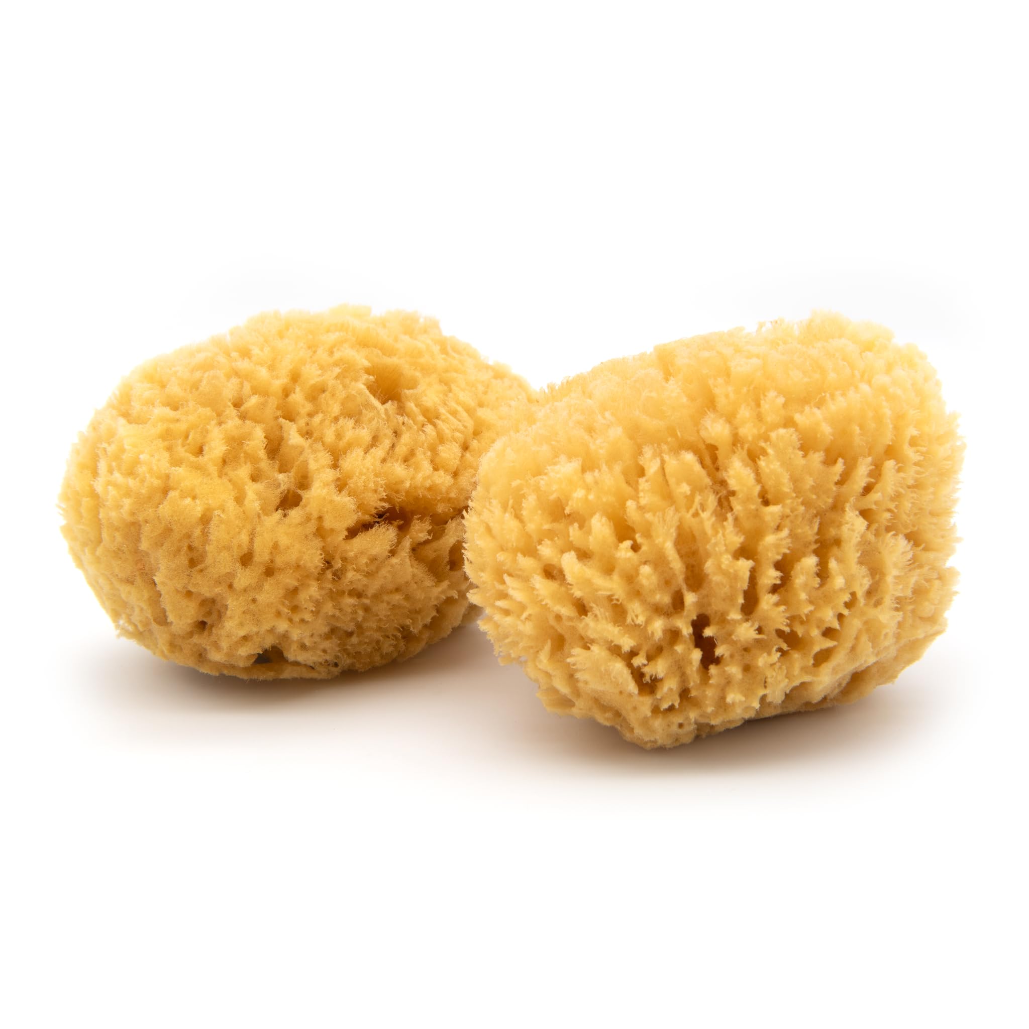 NEPTUNE Caribbean 2-pack hand-cut sea sponge offers gentle cleansing and natural exfoliation.