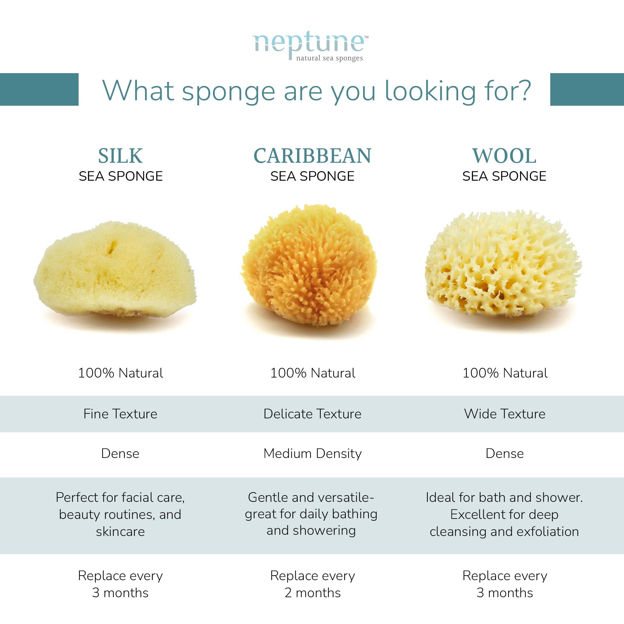 NEPTUNE Caribbean Sea Sponge hand-cut small texture closeup highlights softness and absorbency.