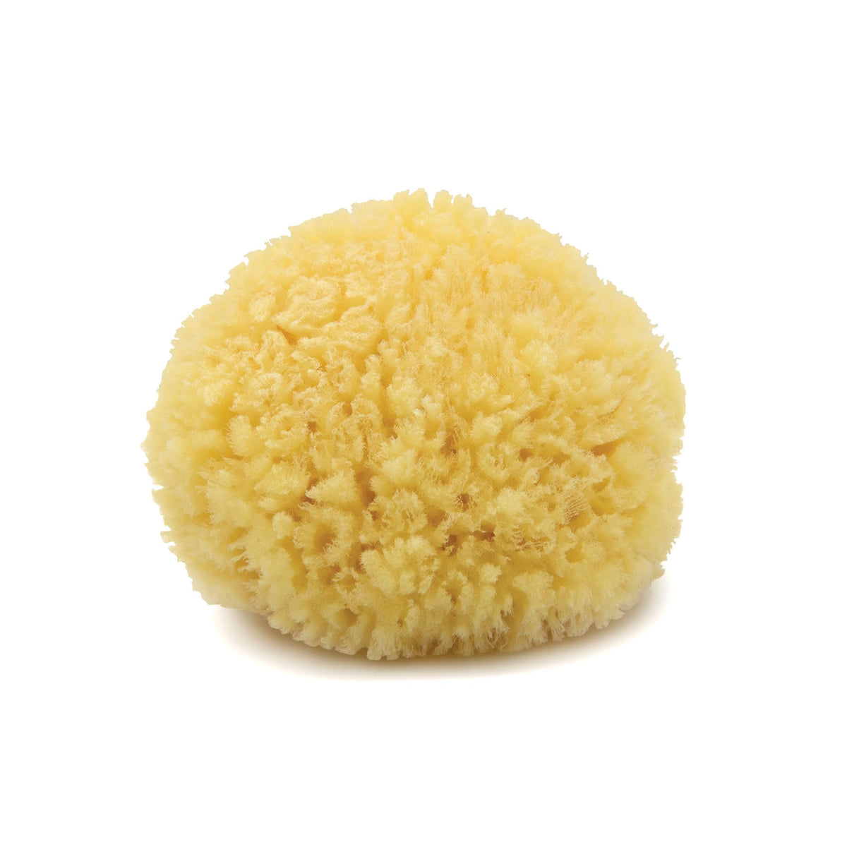Esponja Neptune Caribe, corte a mano, exfoliación suave para uso diario.