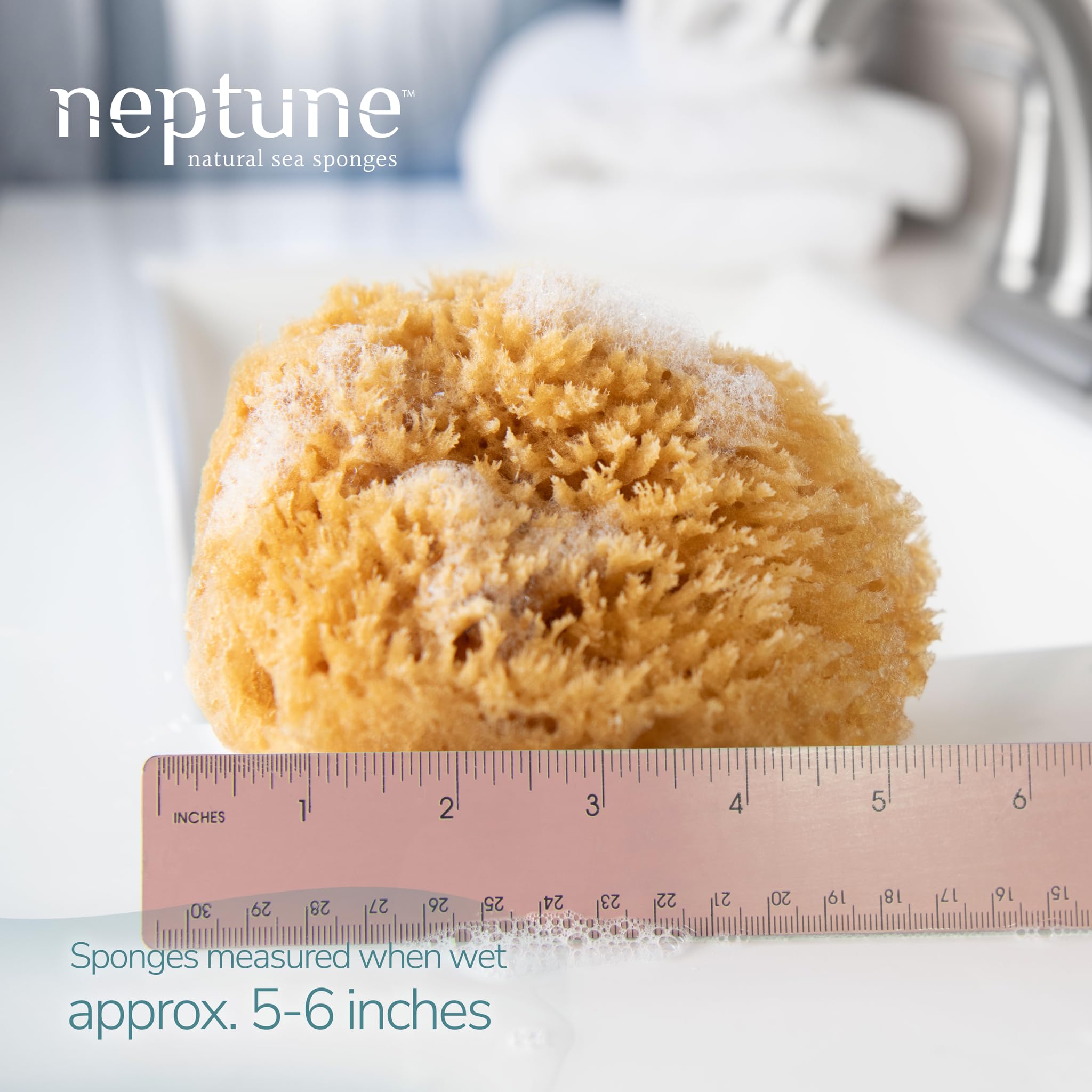 Esponja Neptune Caribe, textura ultra suave para piel sensible en ducha.