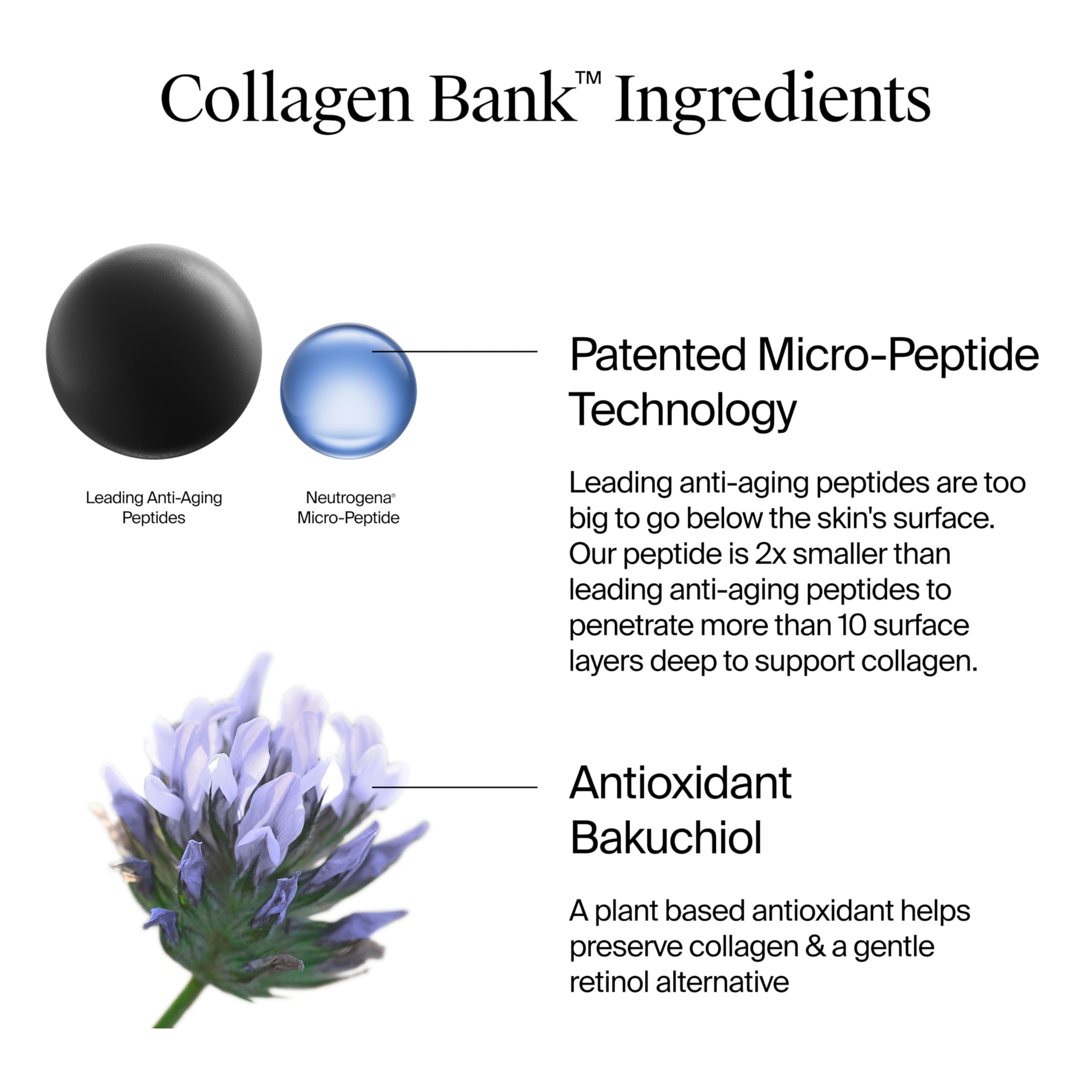 Close-up of Neutrogena Collagen Bank micro-peptide technology detail