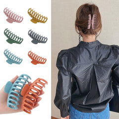 New Live 12-color variety pack provides versatile hues for outfits.