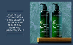 Champú NEW YORK BIOLOGY árbol de té: limpieza profunda del cuero cabelludo