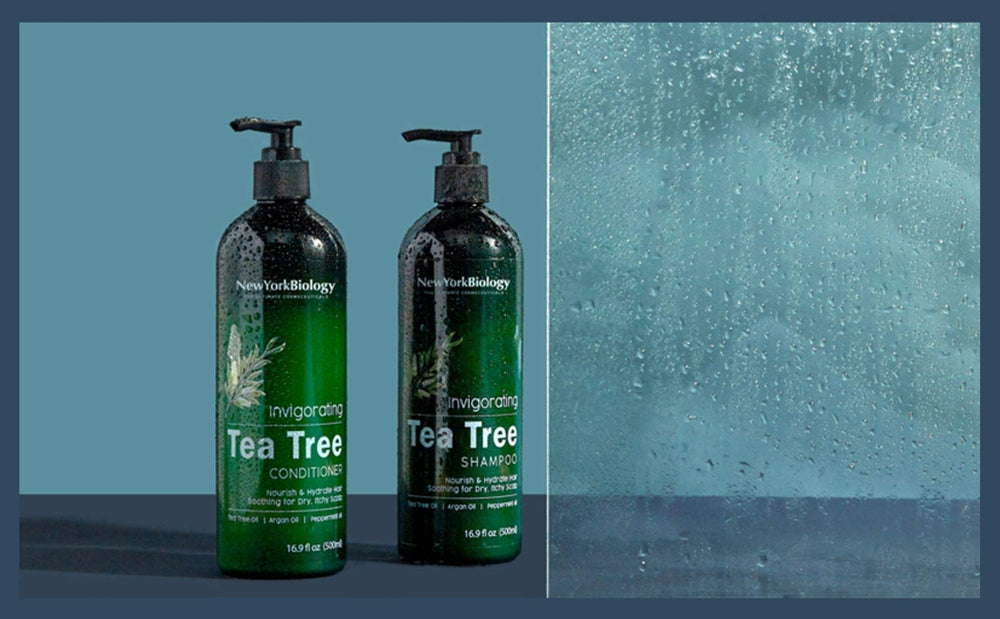 Uso diario del champú NEW YORK BIOLOGY árbol de té para cuidado capilar