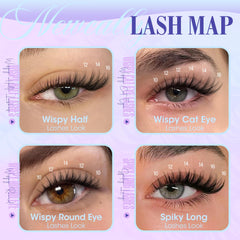 Newcally 10-16mm C-curly lashes—soft, lifted curl for dimension.