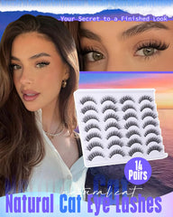 Newcally Cat Eyes Wispy Lashes with light volume for subtle definition