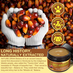 Ninsiec Batana Oil on the scalp demonstrates moisturizing hydration to ease dryness