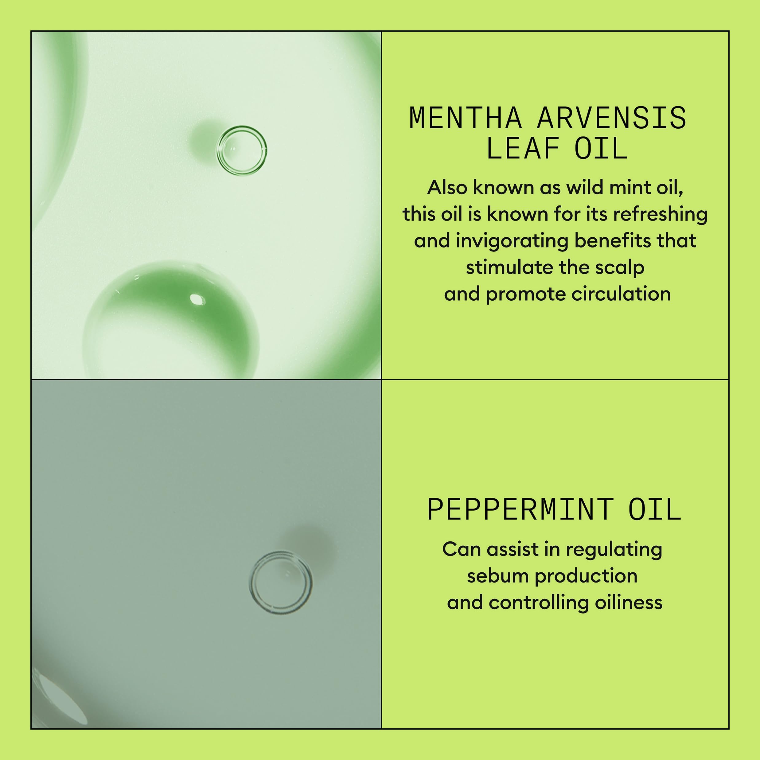Nioxin System 2 ingredients panel highlighting botanicals and antioxidants.