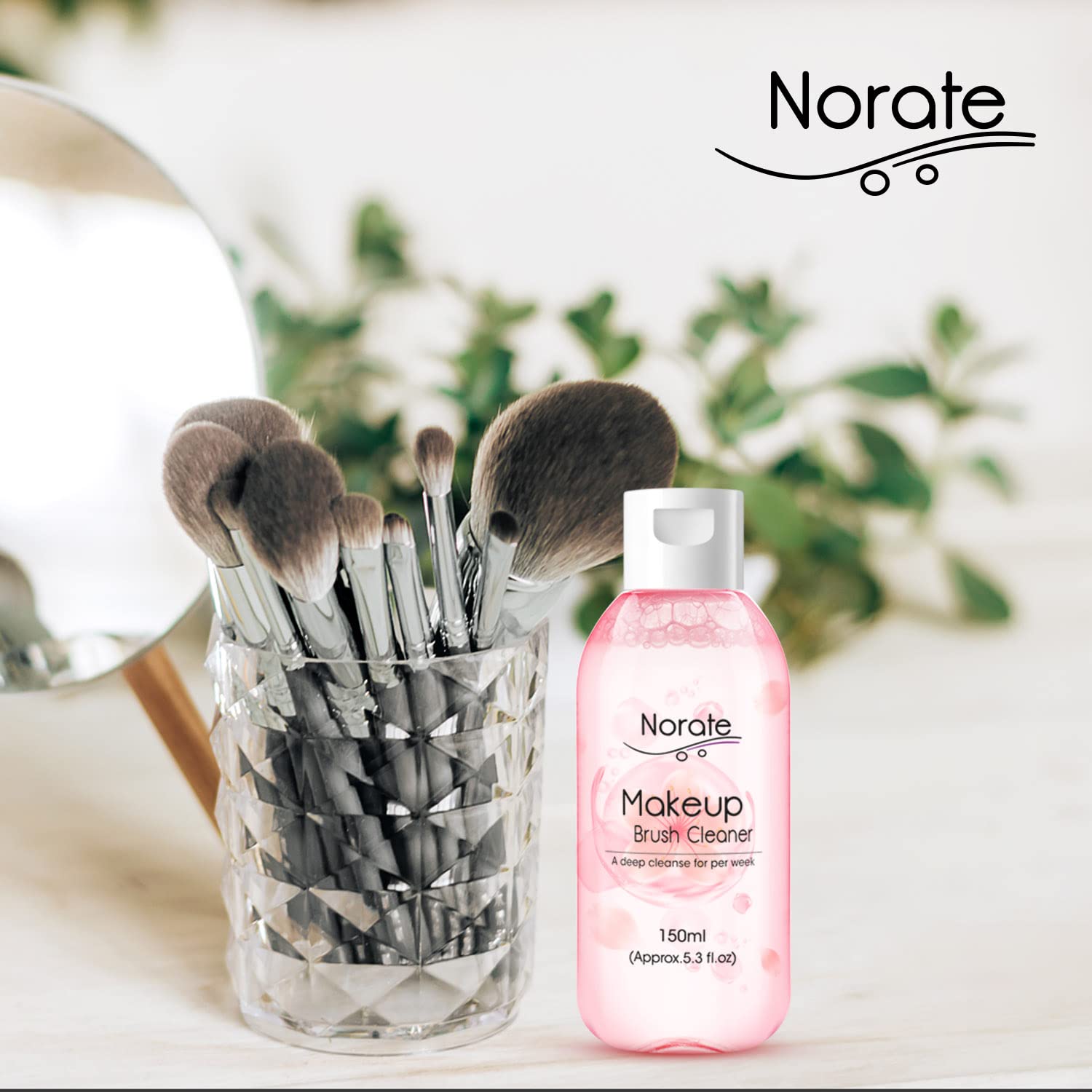 Norate brush cleaner with sponges shows sparkling results after wash.