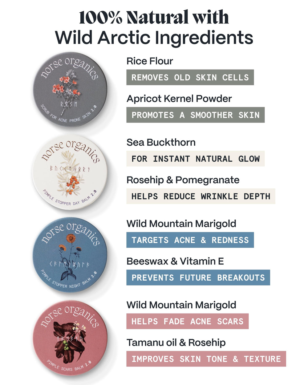 Norse Organics Arctic Herbs and Beeswax collection image, pure ingredients for skin health.