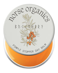 Norse Organics Pimple Stopper Day Balm packaging showcases clean design for daily acne care