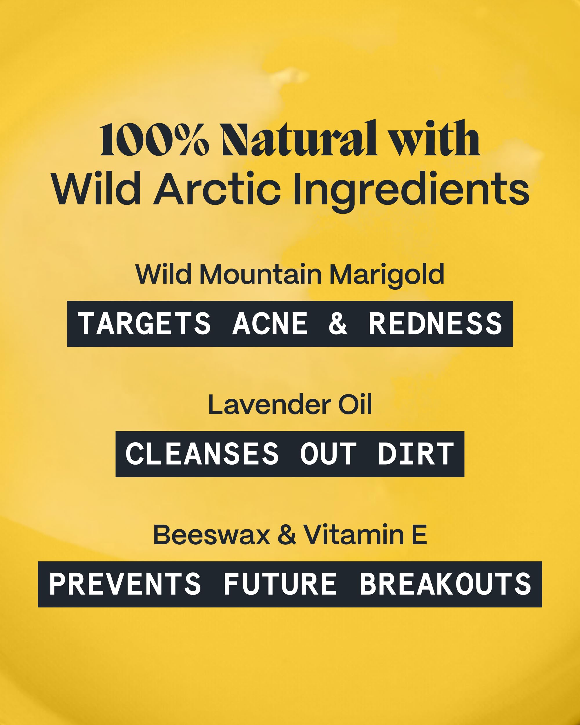 Arctic botanicals and oils blend in Norse Organics Night Balm