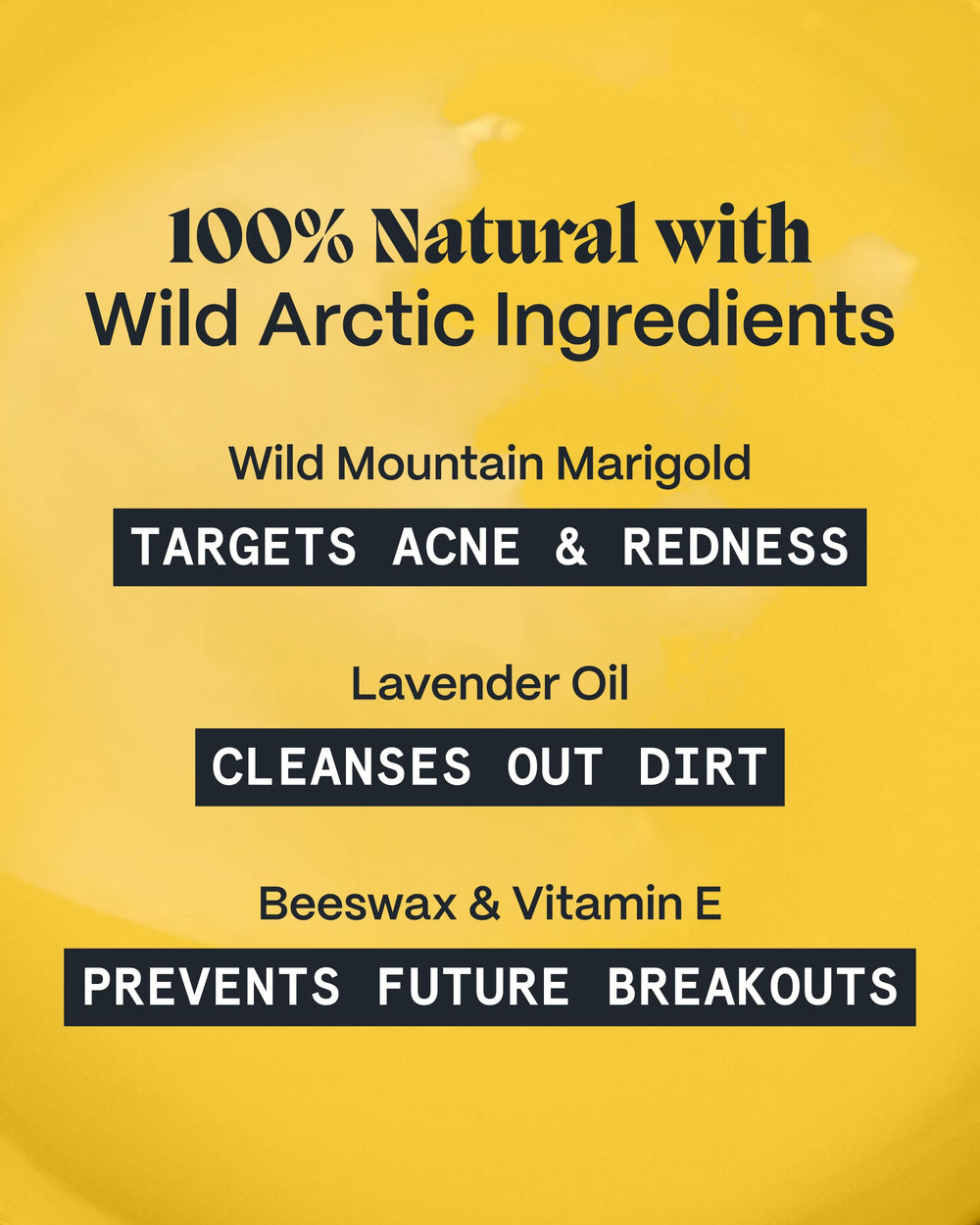 Arctic botanicals and oils blend in Norse Organics Night Balm