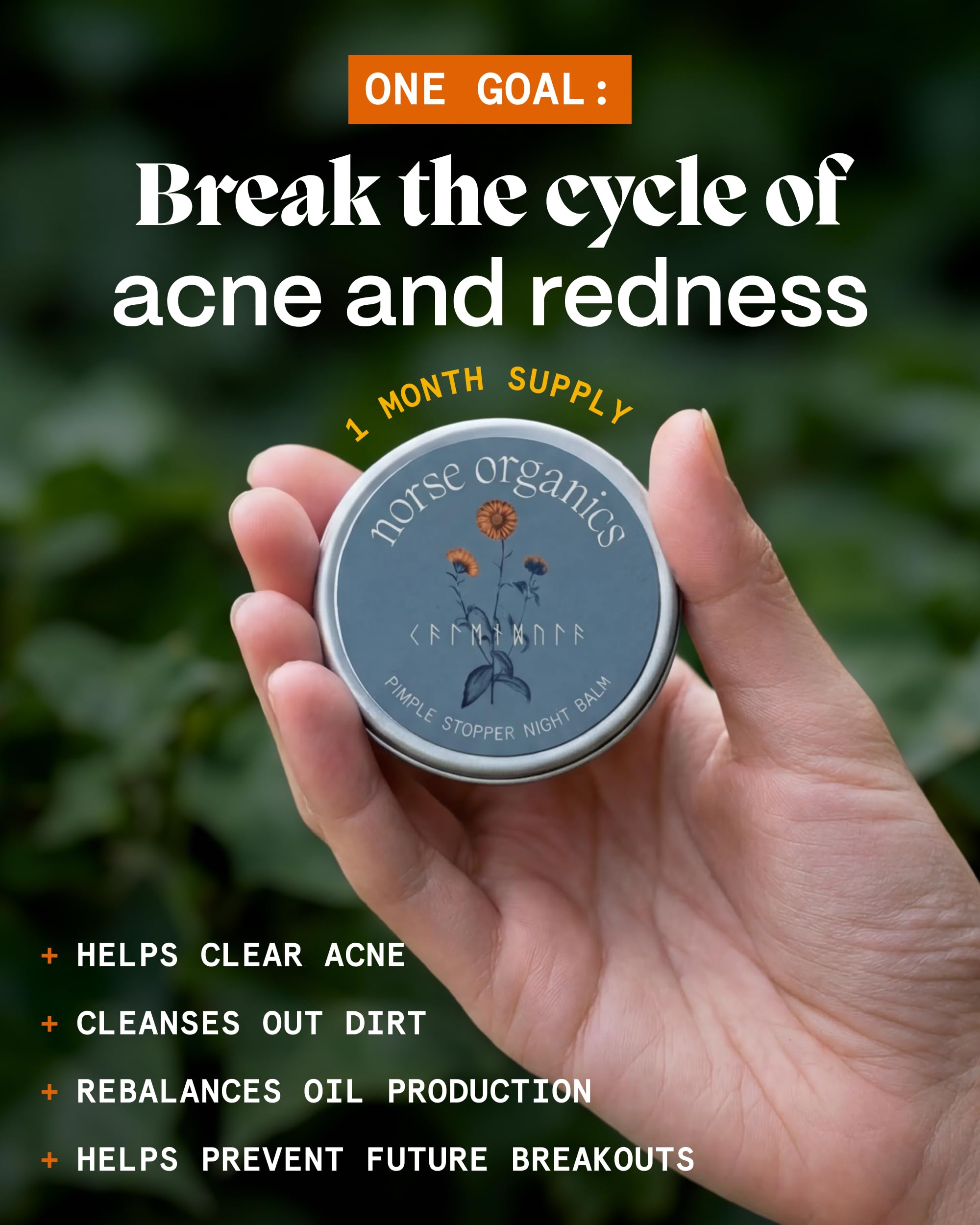 Close-up of Arctic botanicals in Norse Organics Night Balm