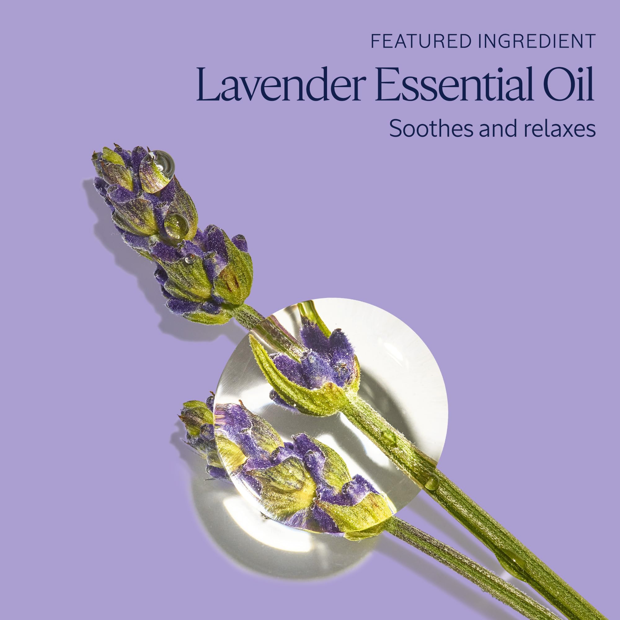 Occitane textura cremosa lavanda: sensación suave cuida la piel
